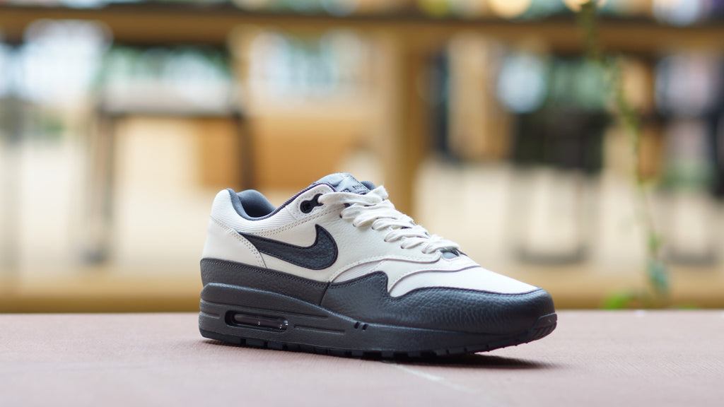 Nike Air Max 1 875844-100