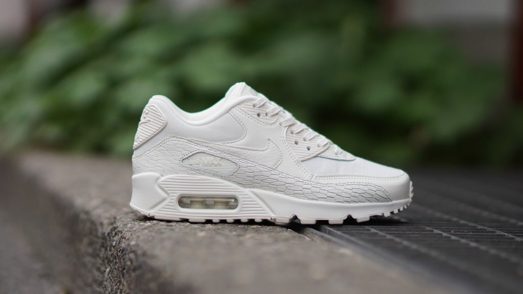Nike Air Max 90 PRM LEA 904535-100