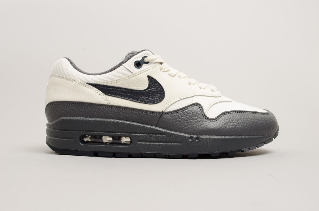 Nike Air Max 1 875844-100