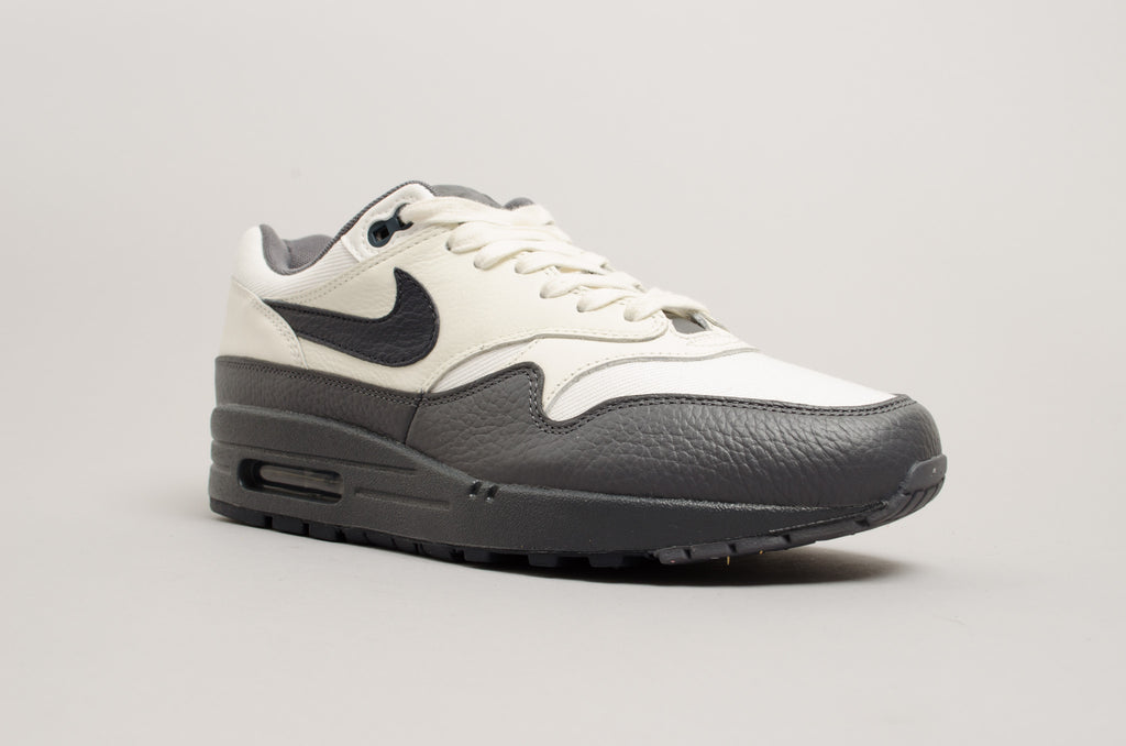 Nike Air Max 1 875844-100