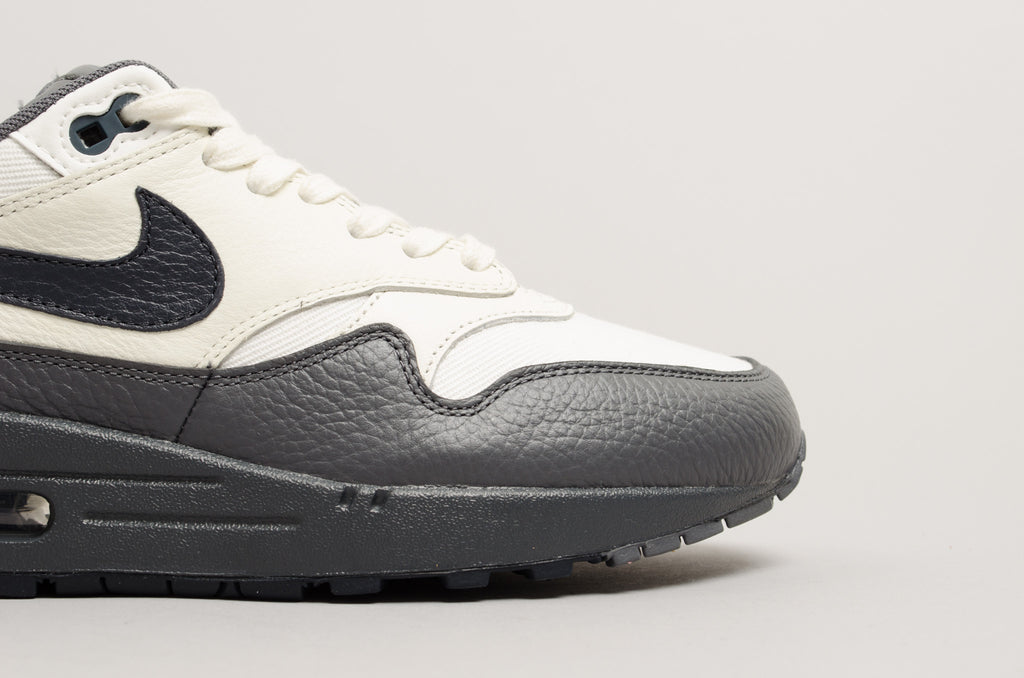 Nike Air Max 1 875844-100